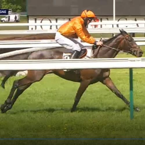 Balko Saint - Prix Hyeres III à Compiègne 3600m