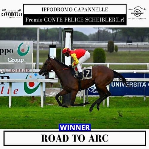 Road To Arc - Premio Conte Felice Scheibler - Listed Race à Rome