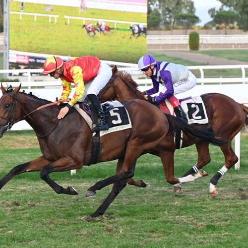 Road To Arc - Gran Premio Del Jockey Club