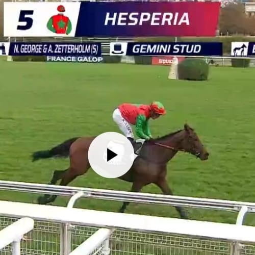 Hespéria - PRIX PRE CATELAN - AUTEUIL